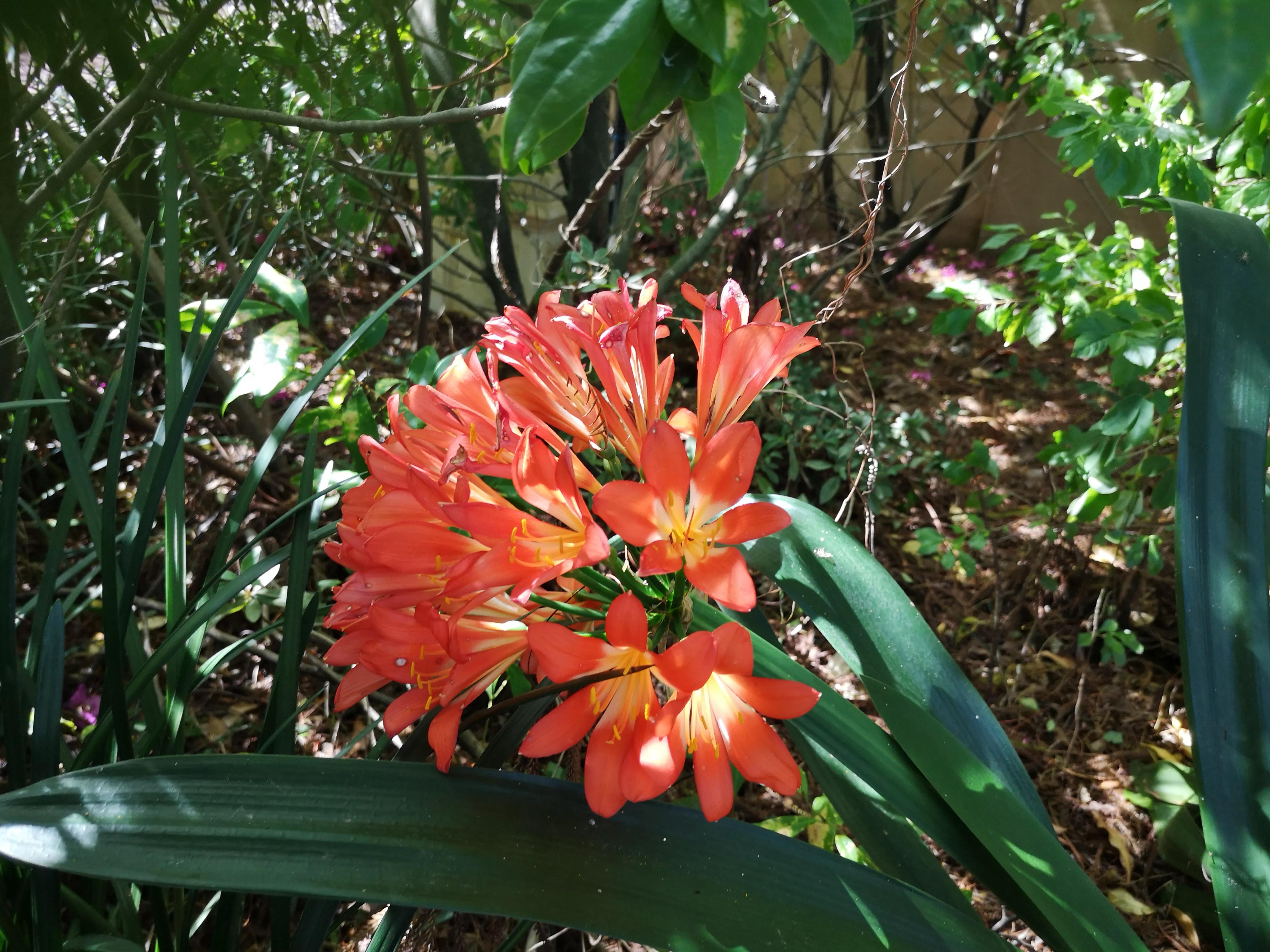 小孩牙疼吃什么东西不疼,牙疼吃什么水果消炎下火