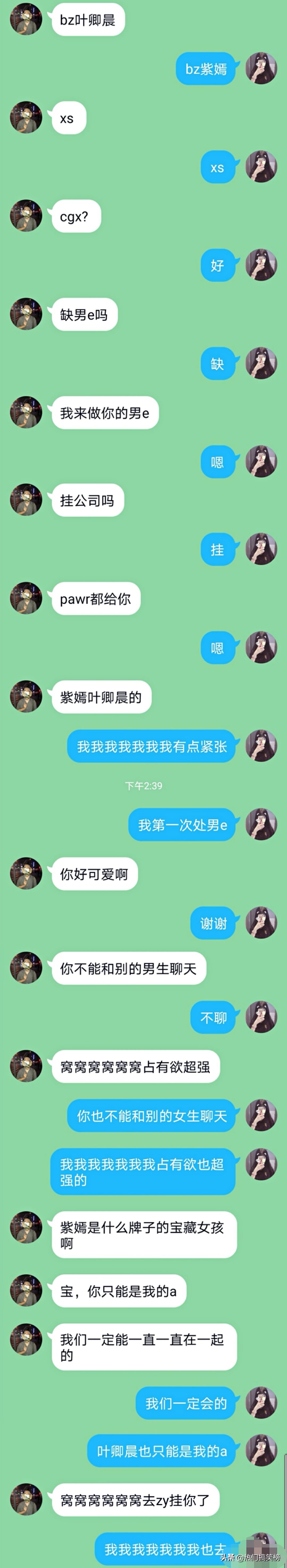 仓鼠和猫打架花了2000,和猫打架住院的仓鼠