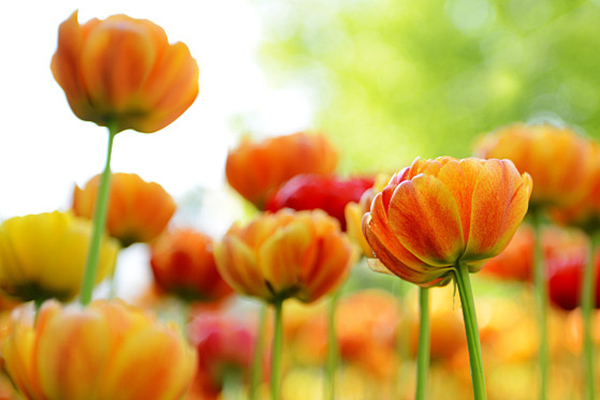 一千元小本创业工厂,一千元小本创业