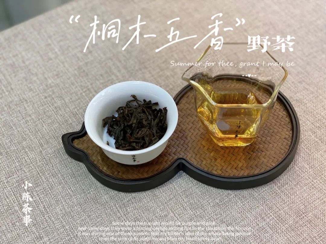 金骏眉正山小种铁观音茉莉花茶,红茶金骏眉正山小种四大名茶组合