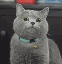 考上乡镇公务员不想去了咋办,还在工作考上了公务员怎么办