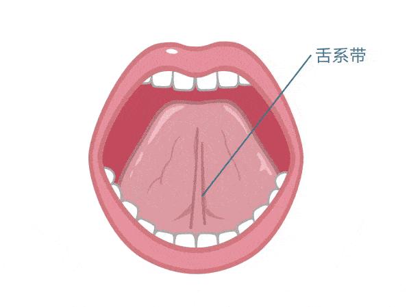 宝宝舌系带短剪了还是说话不清晰,宝宝舌系带过短剪了还是吐不出来