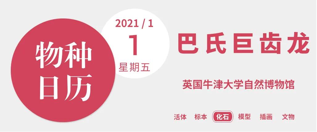 世界上第一种被人类发现的恐龙,世界上第一个被发现的恐龙