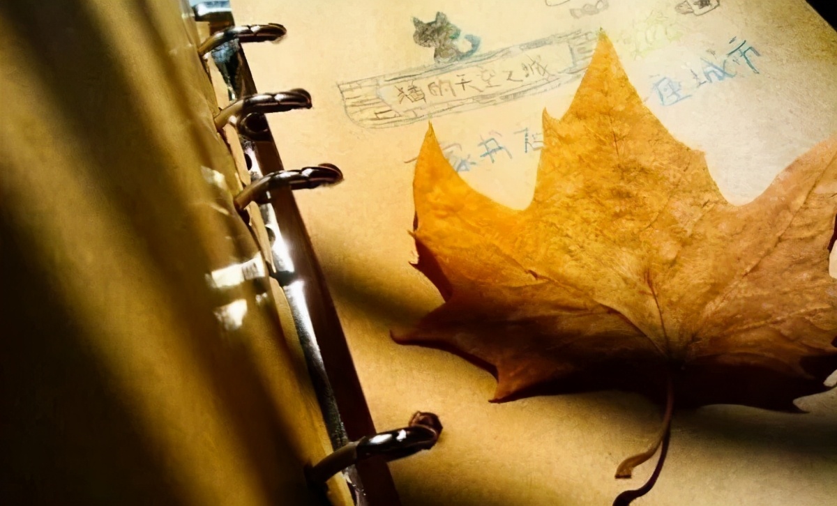 没有物质的爱情是不能维持下去的,再美好的爱情都需要以物质为基础