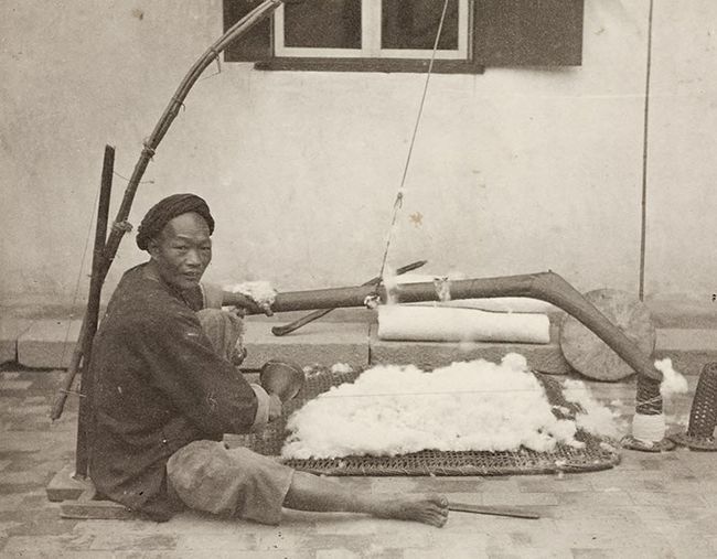 上海的市花是什么花朵,上海市市花曾经是什么