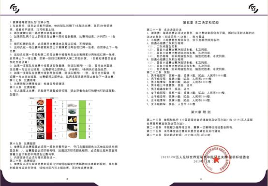 f5wc中国区赛,2018f5wc卡尔美中国区总决赛