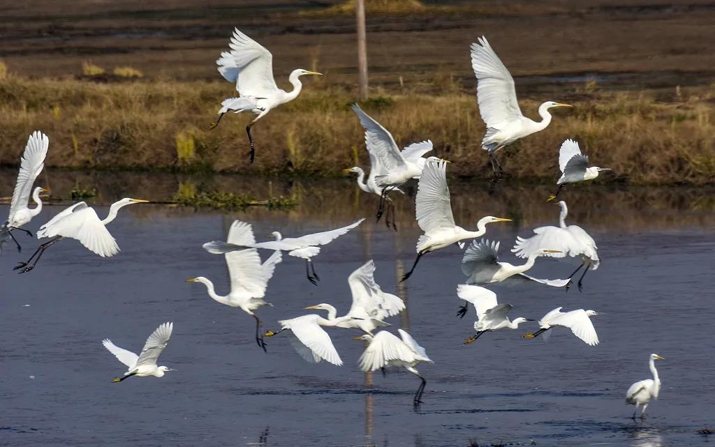 全国最敢赌的城市,逆风翻盘