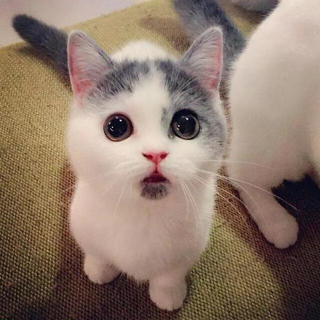 讲起抗疫故事,听战疫故事