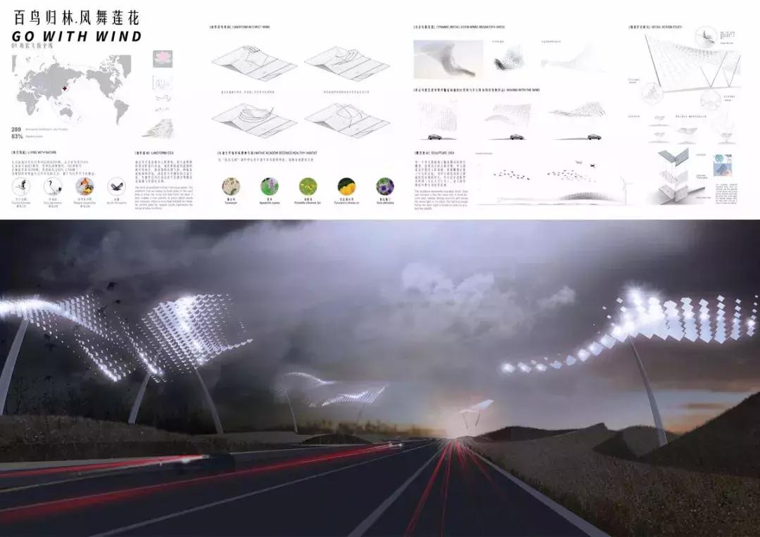 获奖作品广场舞大赛,莲花山杯全国摄影大赛