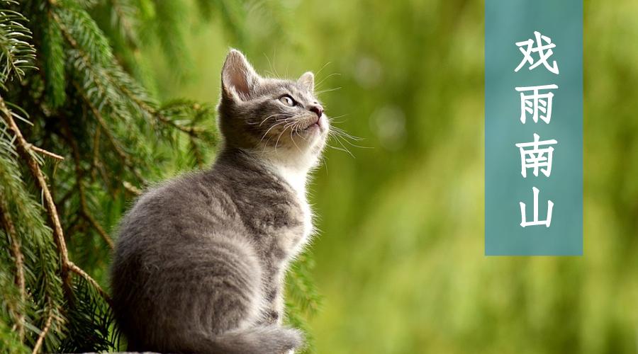 被抄袭最好的解决方法,如果被抄袭了应该怎么怼回去