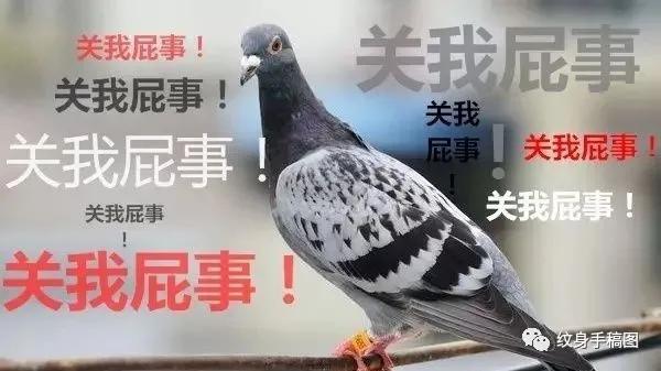 真的有鸽子血纹身吗,鸽子血朱砂纹身真的隐形么