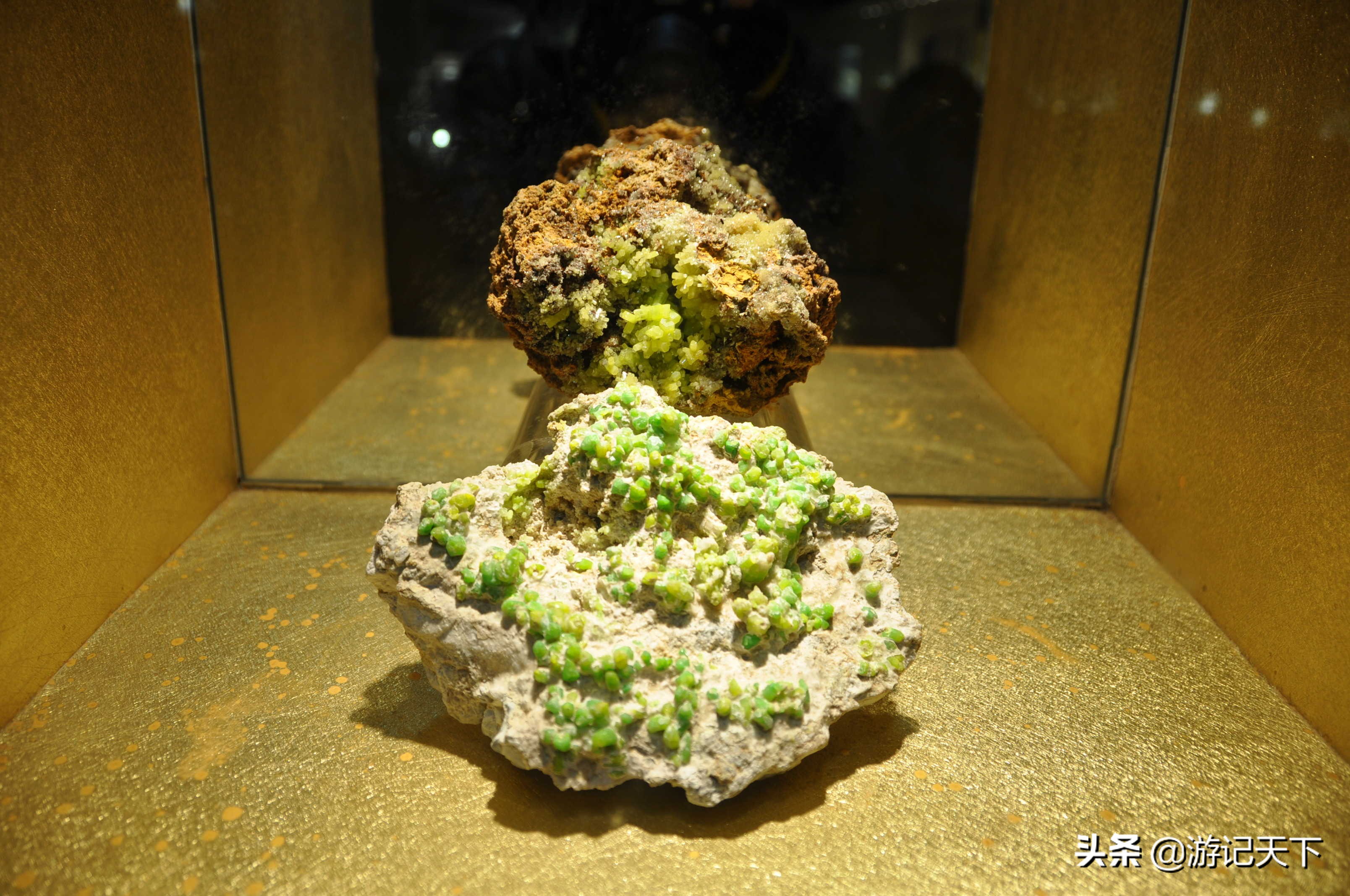 阿尼亚参观博物馆,上海地质科普馆游玩