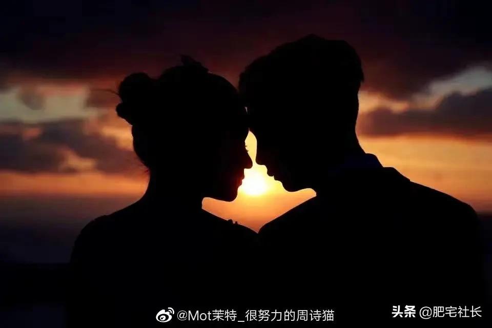 从校园到婚纱有多甜,从校园到婚纱超甜小说