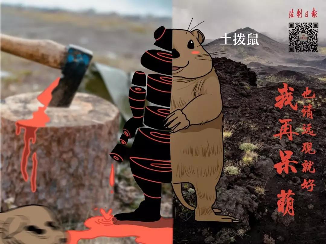 呼吁大家拒绝野味怎么说,拒绝野味该做到的事情