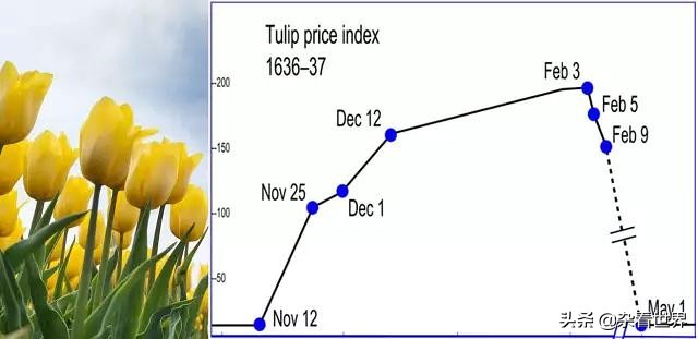 小小的郁金香是如何催生了资本家最厉害的敛取财富的招数之一的?