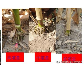 农资行业怎么做才有优势,做农资都需要什么手续
