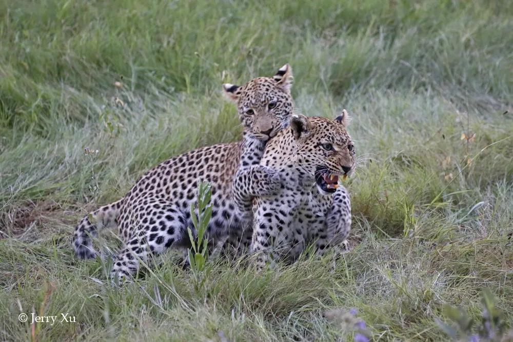 情人节,就该和爱的人*爱做**做的事