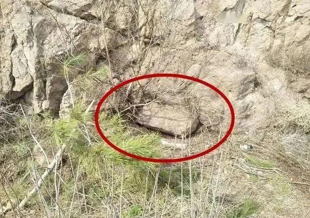 河北驾车撞人事件,河北男子开车撞人事件