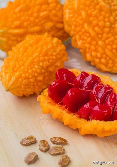 王阳明讲自省,王阳明学会反省