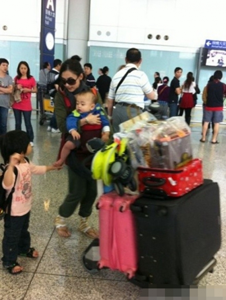 隆鼻张柏芝鼻型,浪姐张柏芝新消息