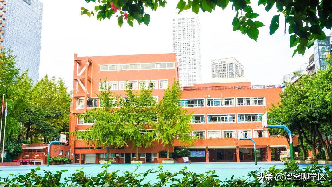 锦江四区小学推荐,锦江二片区四所小学排名