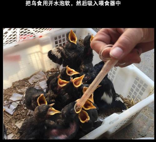 学姐来了请多关照,学妹来了学姐应该怎么办