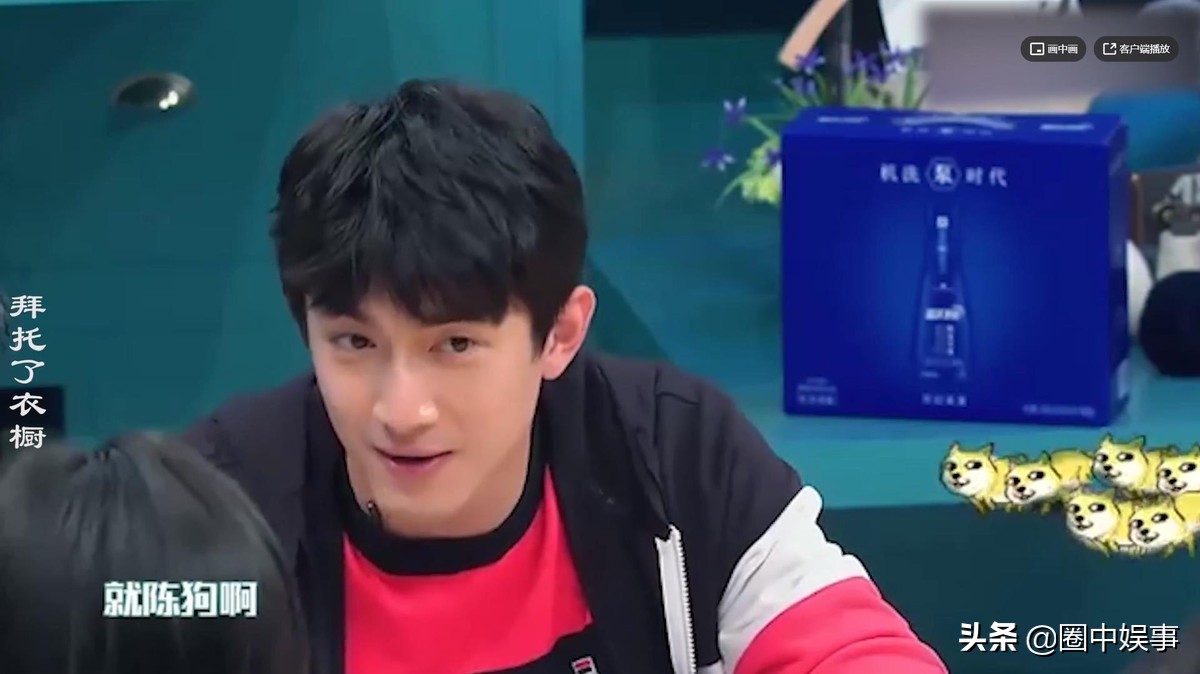 林狗为什么是林更新,林狗林更新怎么来的