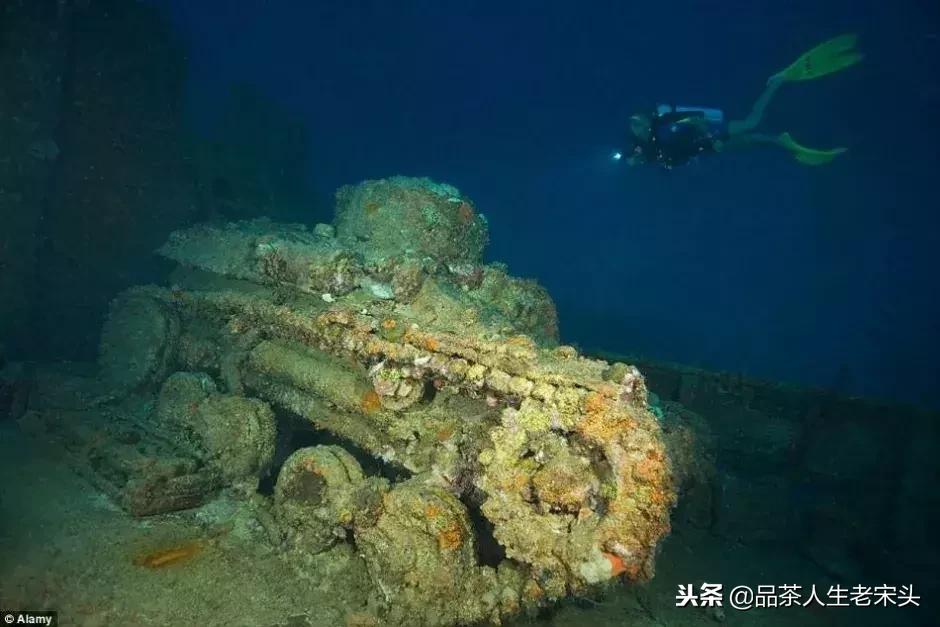 最新世界十大“怪”,最后一个太绝了!