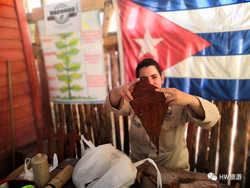 古巴雪茄最根本的香气特点,古巴雪茄的真实口感