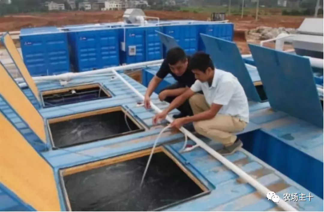 特色集装箱农场,集装箱打造农场建筑