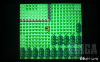 全网最全！《口袋妖怪》历代主系列游戏（精灵宝可梦）