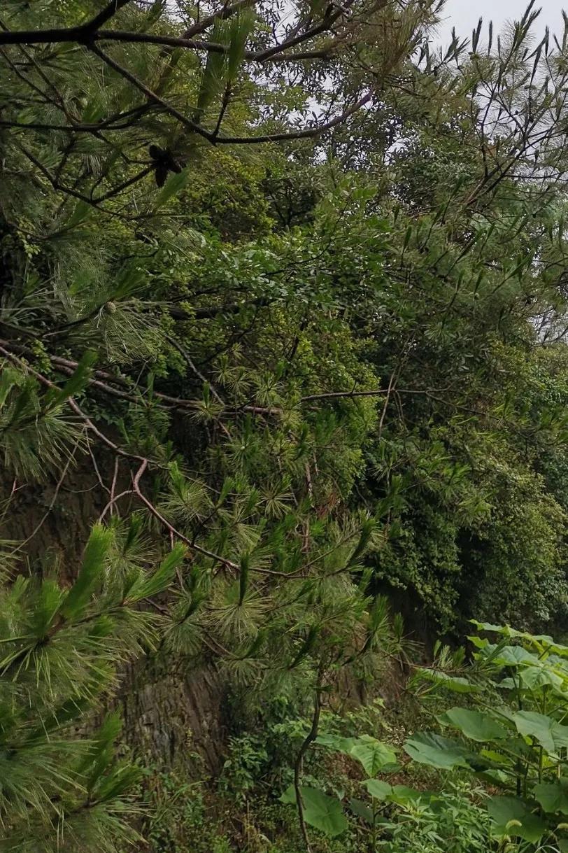 化解消溶是什么意思,化解消极情绪教案