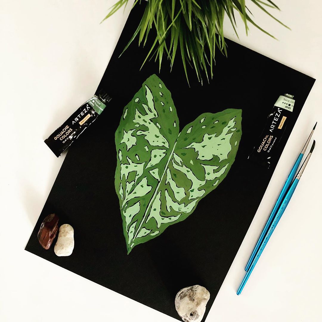 清新水彩手绘花卉插画,高级感的花卉插画