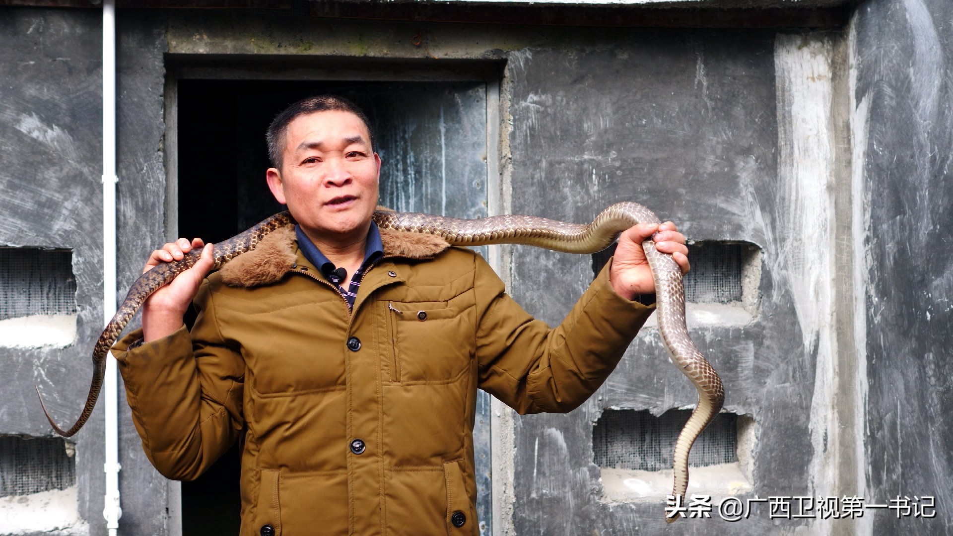 世界瑶乡,世界梯田瑶族文化遗产