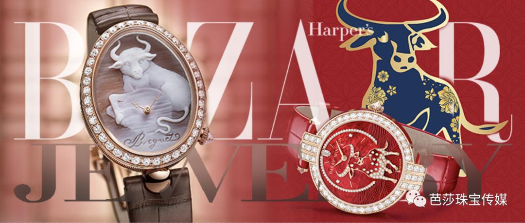 生肖表综合知识,生肖表图片金木水火土