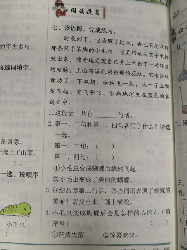 小毛虫的课文二年级下册全部讲解,二年级下册语文小毛虫朗读视频