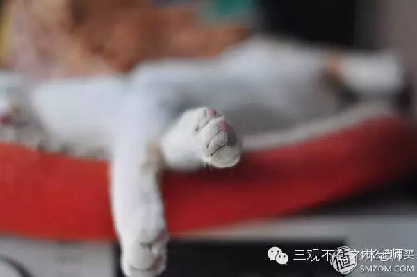 玩文玩的十大忠告,从文玩小白到入门要踩哪些坑