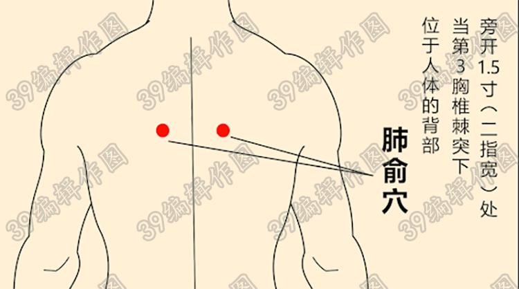 肺为什么被称为华盖之脏,肺为华盖的功效与作用