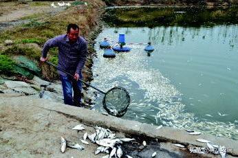 适合农村创业致富的项目有哪些,2021致富新机器