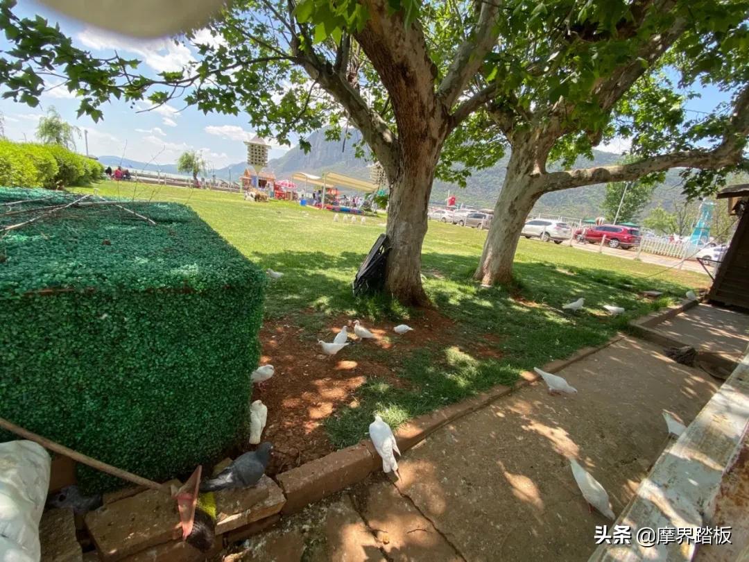 吕文广永康,吕文广最新视频