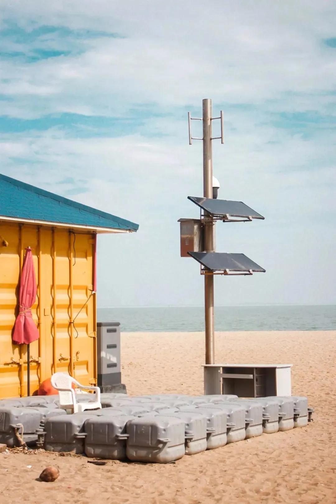 今天来莲前，给你别样的宠爱