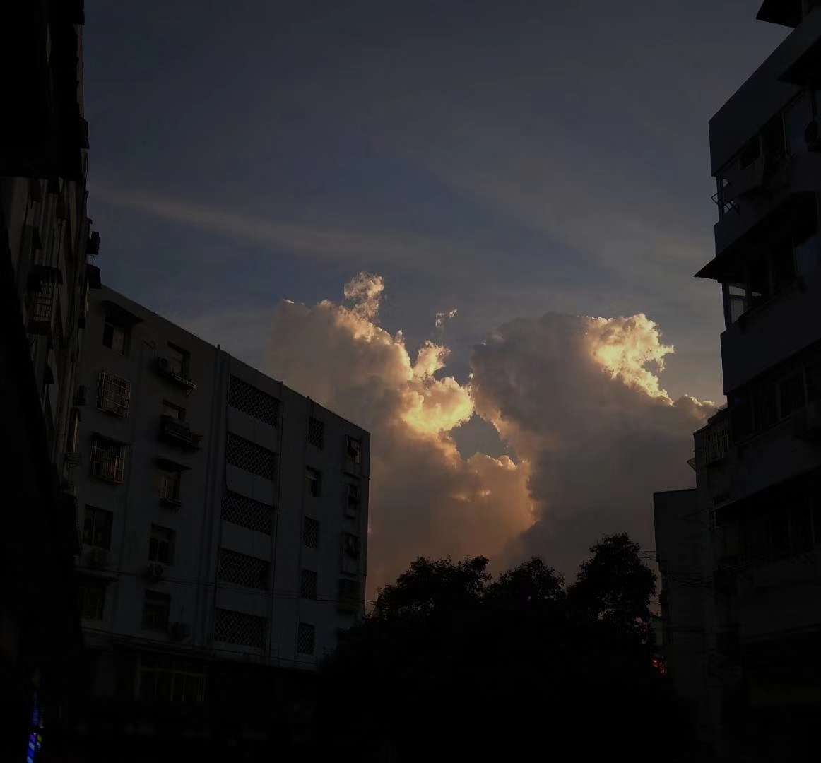 2019犯凶星的属相,2019年犯凶星的属相