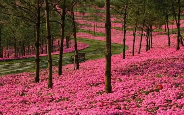 弥勒佛城在哪里,弥勒市佛城图片