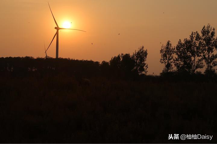 推荐森林温泉,江苏比较推荐的温泉度假