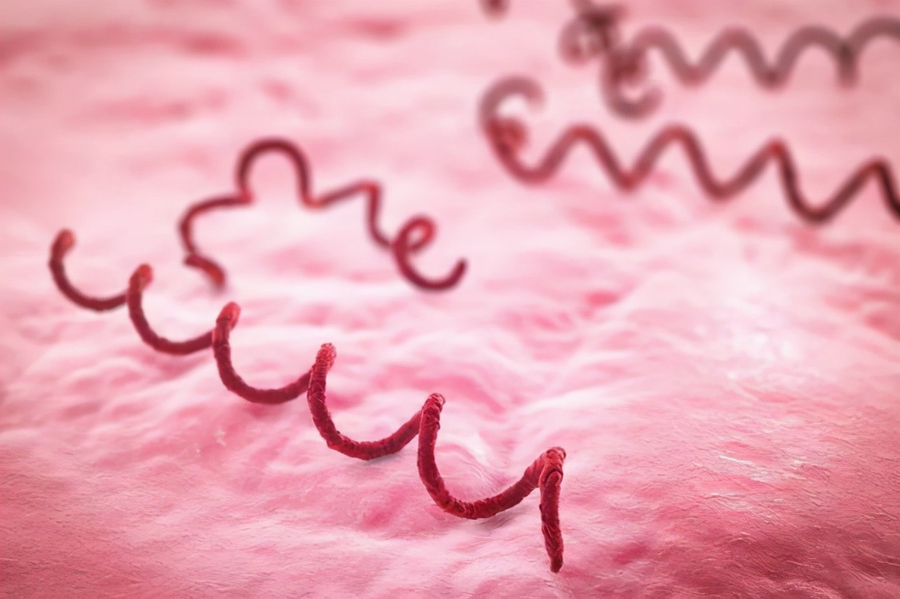 得了梅毒好得快牢记这5点,梅毒致死率多少