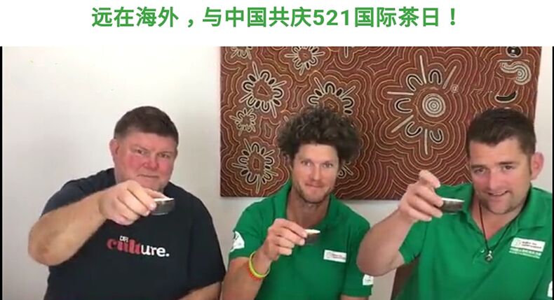 国际茶日共品茶香茶韵,国际茶日共品茶韵
