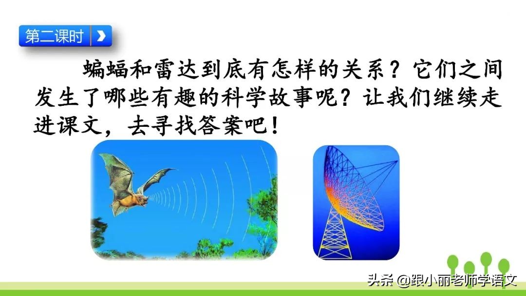 语文思维导图四年级上蝙蝠和雷达,人教版四年级上册蝙蝠和雷达朗读
