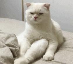 轻微的阴道炎但是很痒怎么办,阴道炎有异味还痒怎么治疗