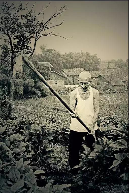 牟三爷家风酒价格,牟三爷家风酱香型白酒价格