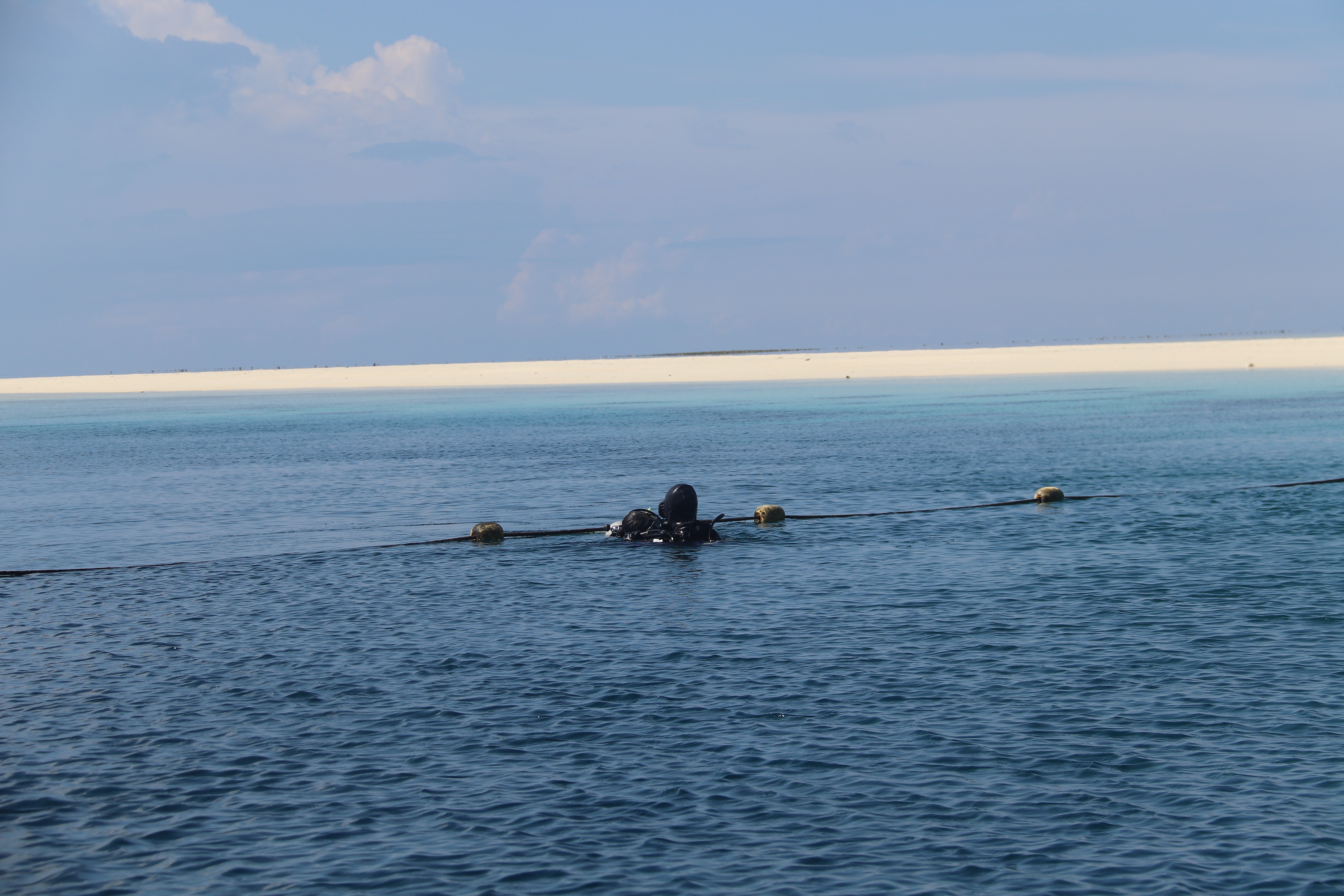 2018马来西亚之旅留影,2019回眸